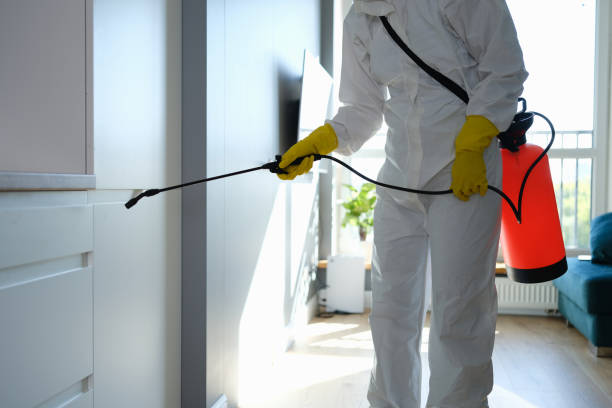 Certified Mold Removal in La Center, WA