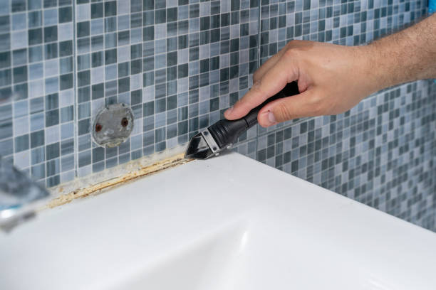 Best Mold Removal Company Near Me  in La Center, WA