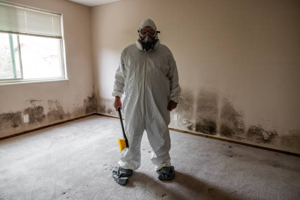 Mold Testing and Removal in La Center, WA
